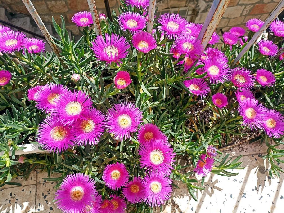 לינה וארוחת בוקר ירושלים האירוח של דיאנה מראה חיצוני תמונה