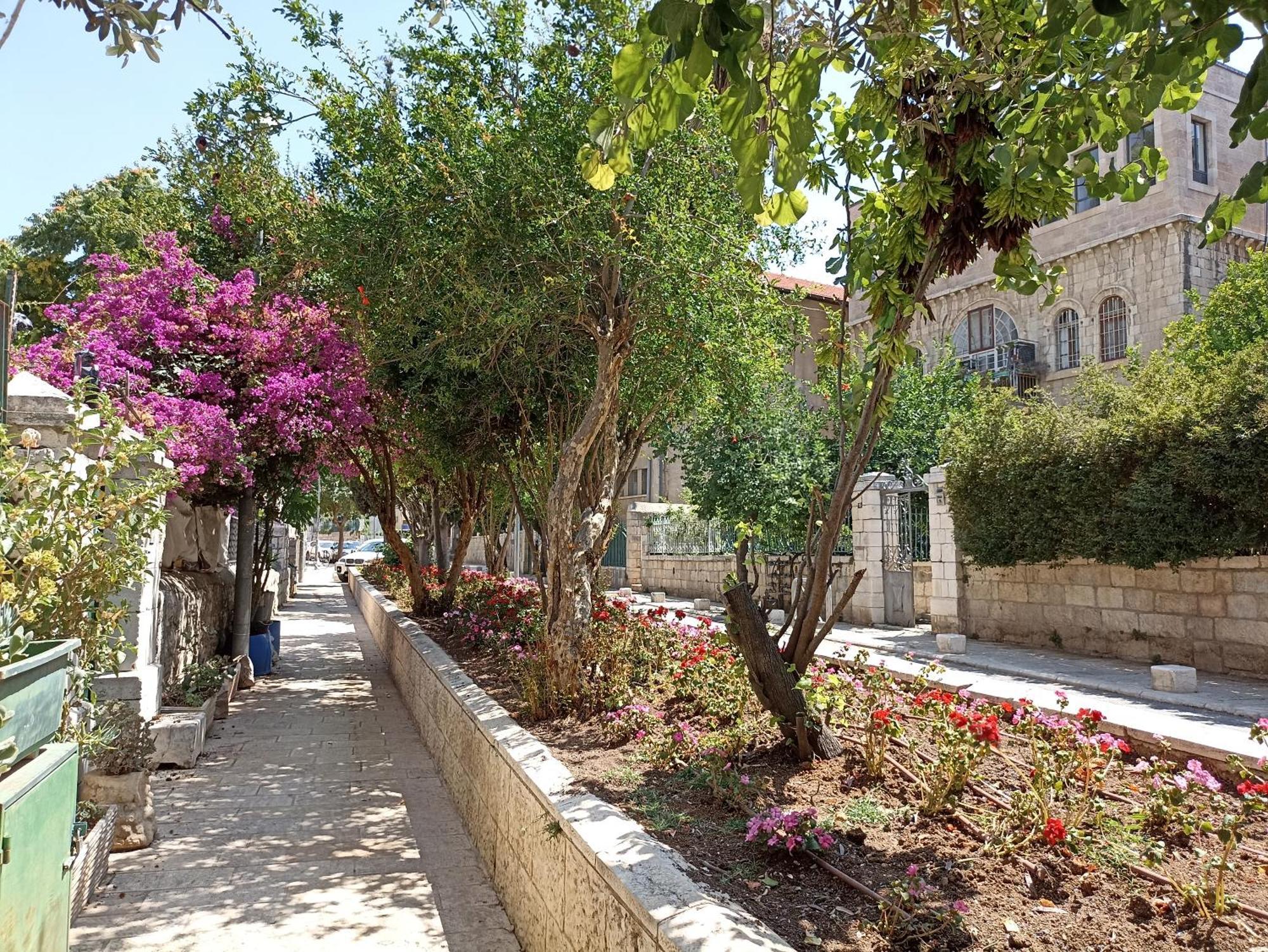 לינה וארוחת בוקר ירושלים האירוח של דיאנה מראה חיצוני תמונה